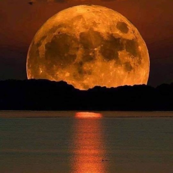 Meet your Posher, Arlet - Picture 1 of 1